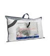 ALMOHAPLUMA
