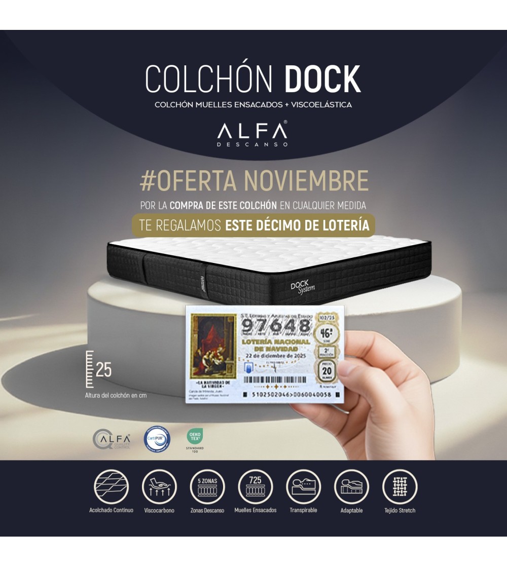 OFERTA NOVIEMBRE 2025: DOCK + DECIMO